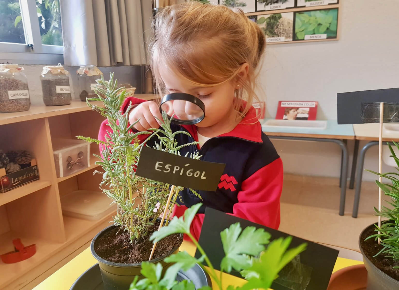 Multimetodologia Escola Montcau – La Mola Matadepera