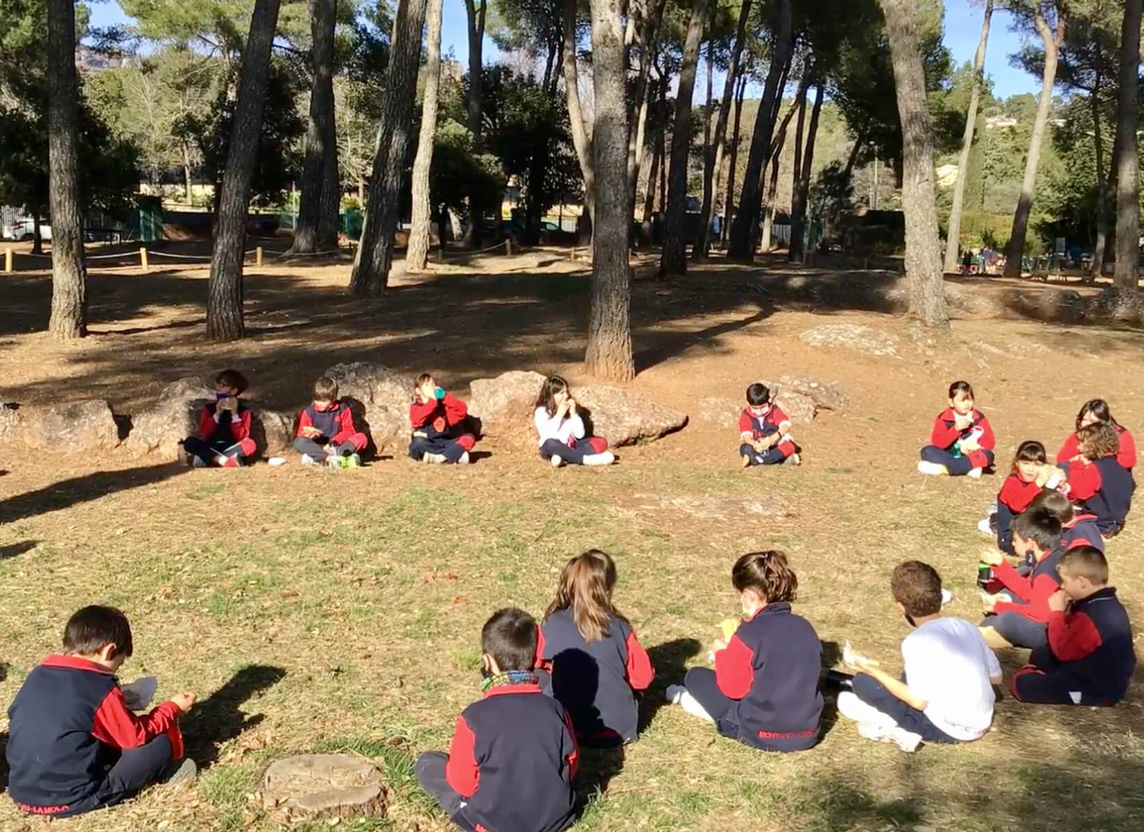Natura, entorn Escola Montcau – La Mola Matadepera