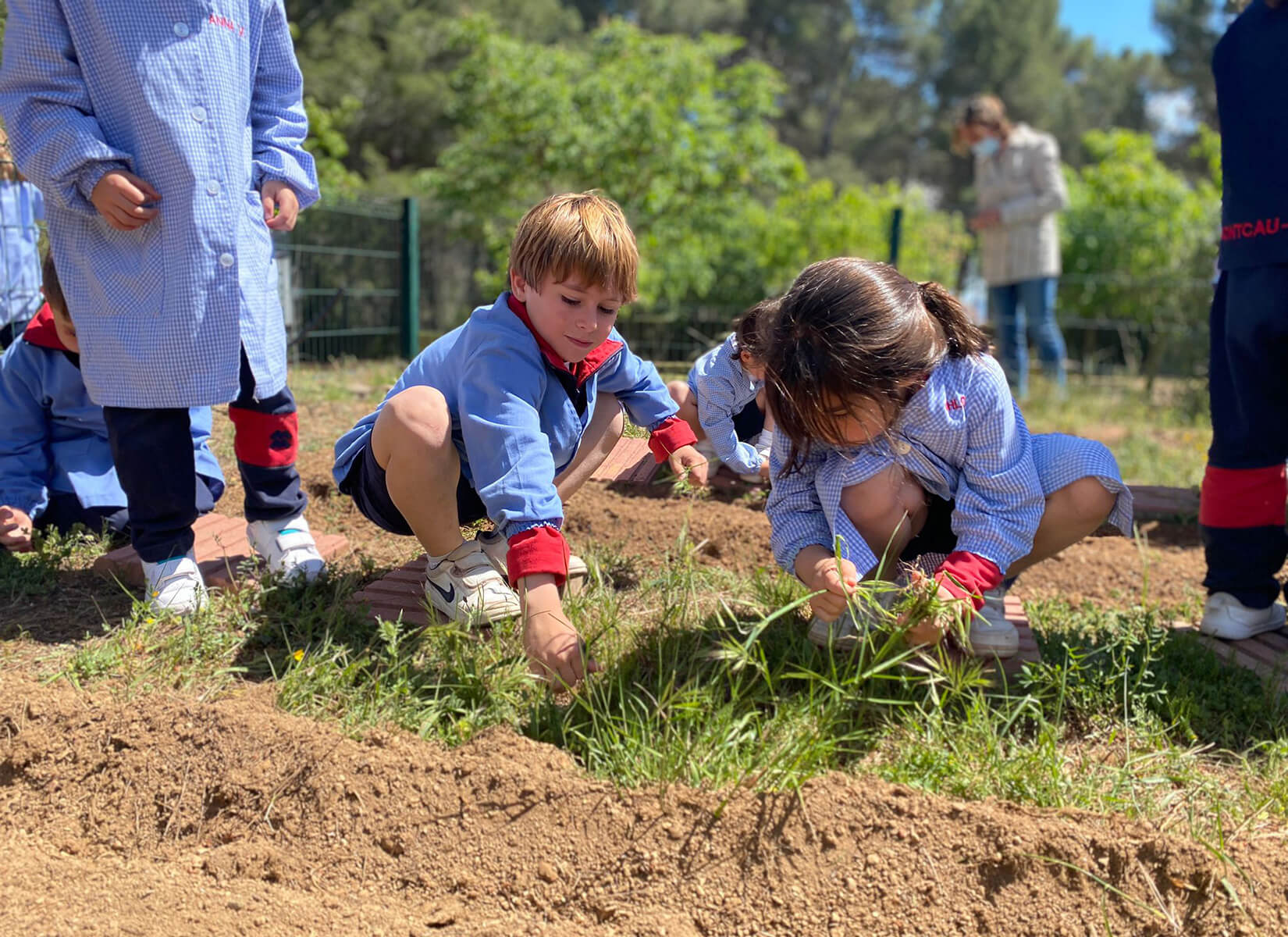 Natura, entorn Escola Montcau – La Mola Matadepera