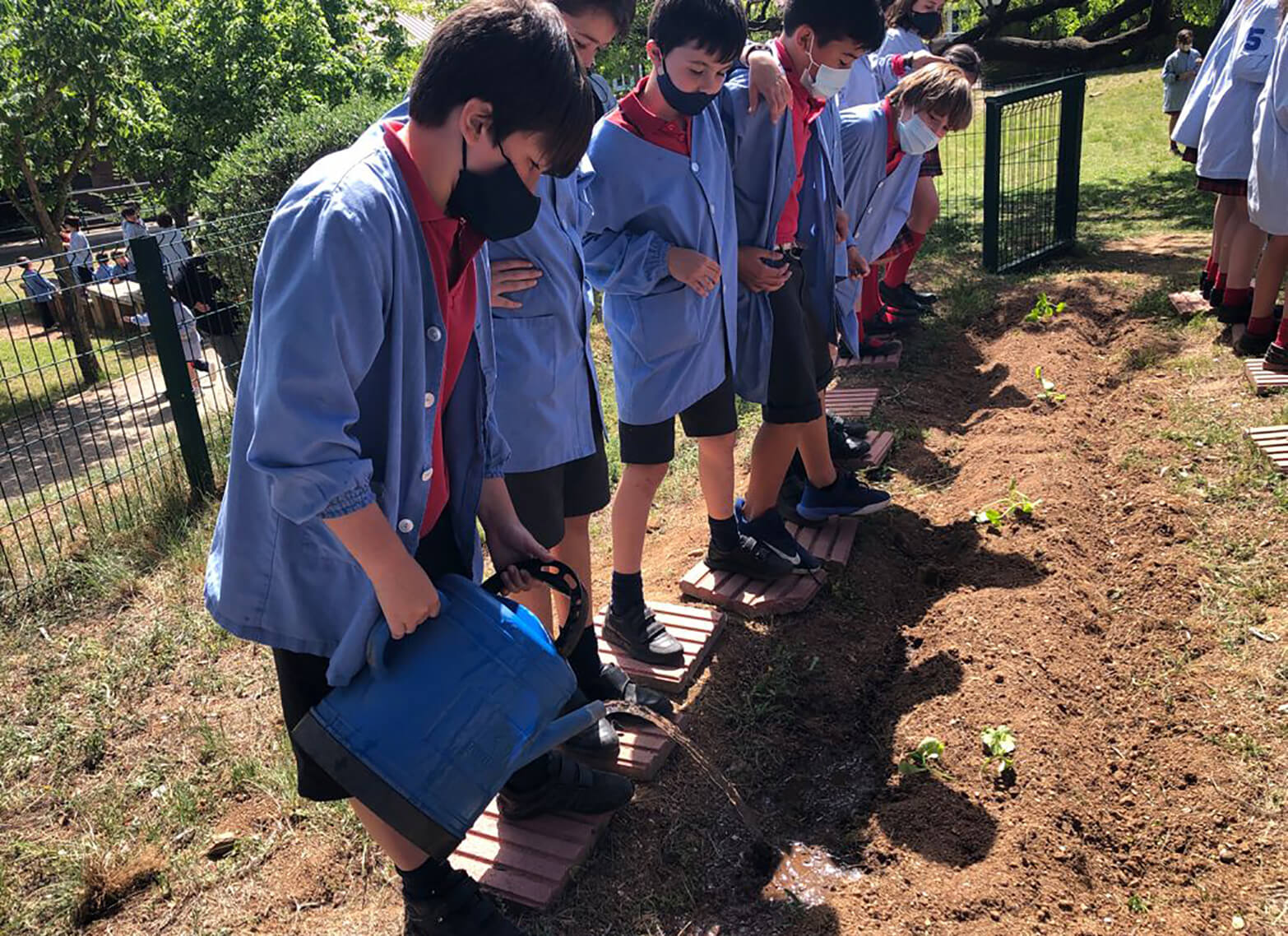 Natura, primària Escola Montcau – La Mola Matadepera