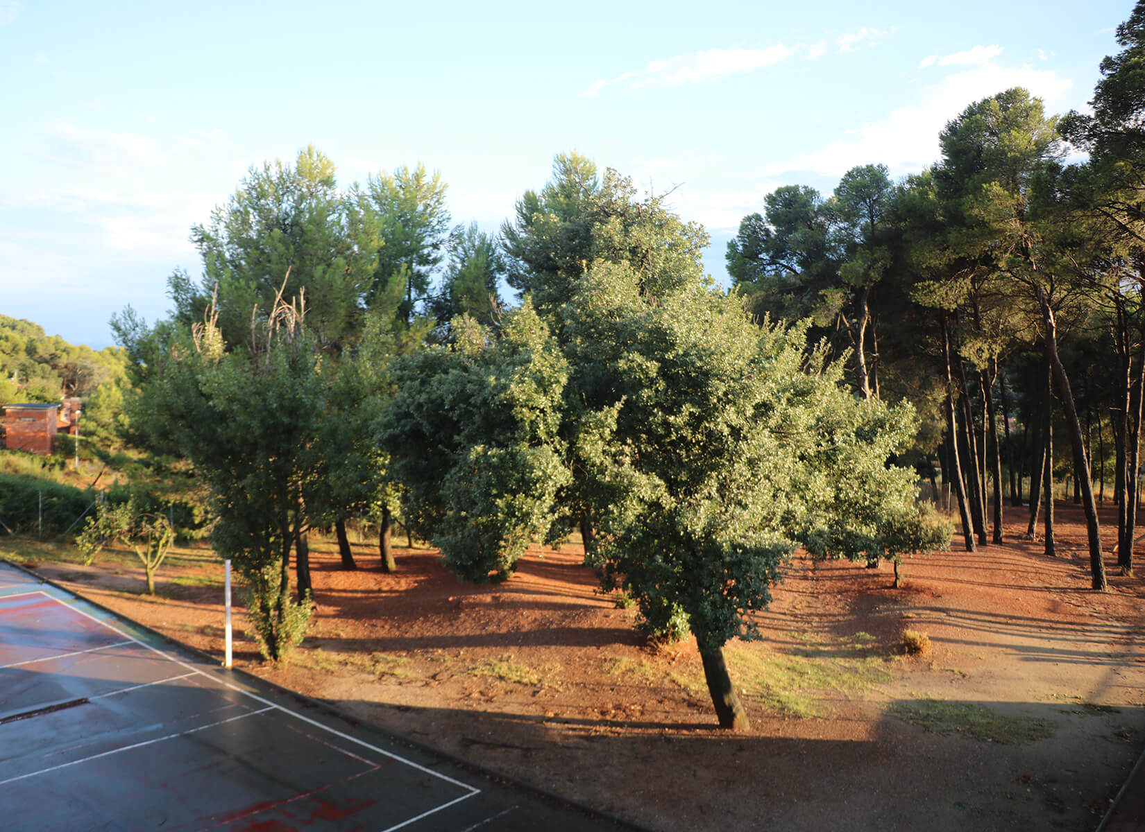 Bosc Escola Montcau – La Mola Matadepera