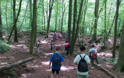 Colònies: 4t de primària