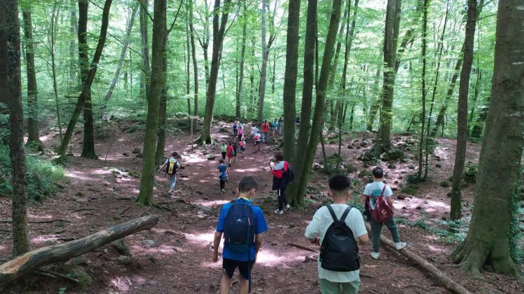 Colònies: 4t de primària