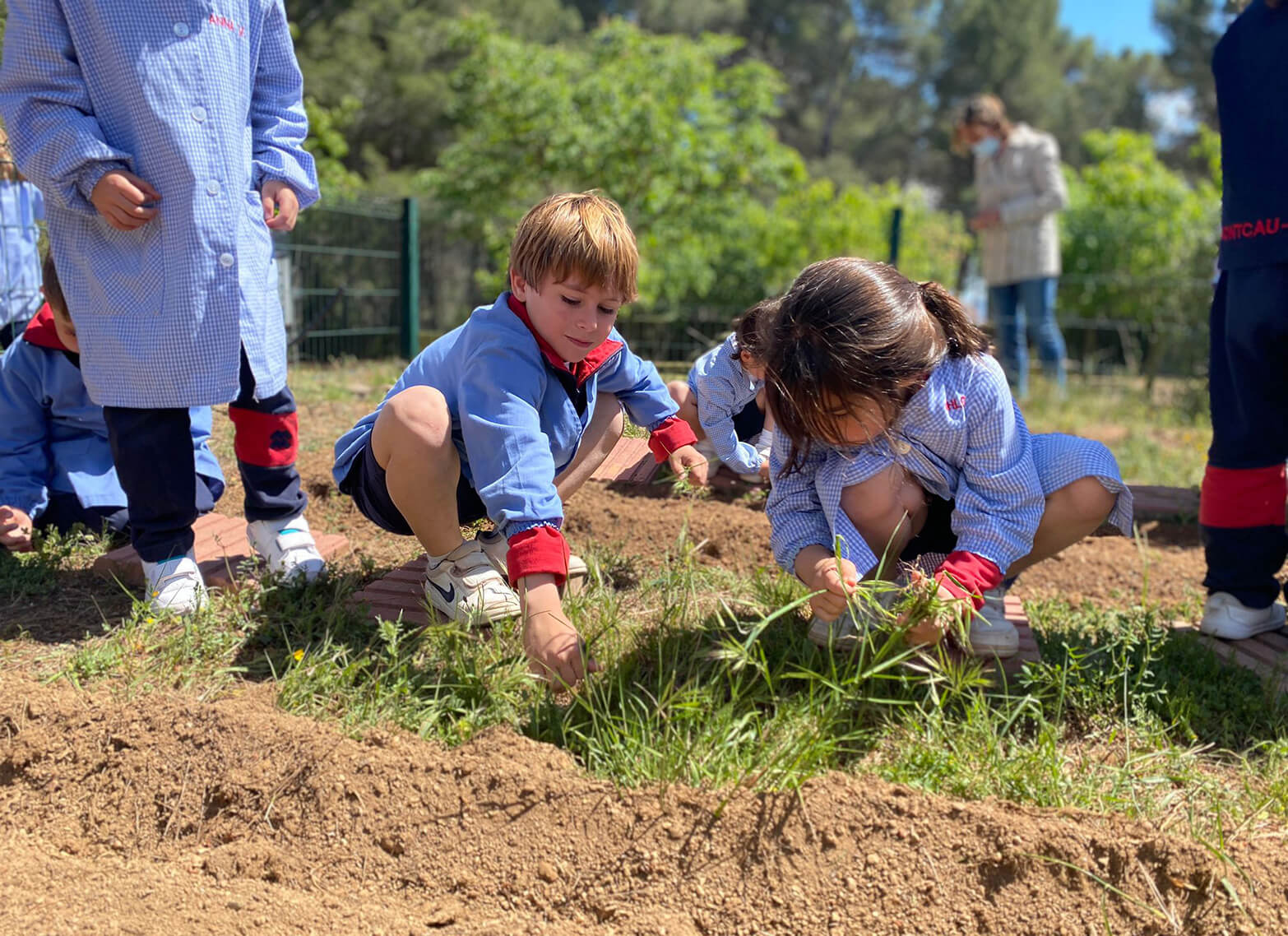 Natura, Parvulari Escola Montcau – La Mola Matadepera