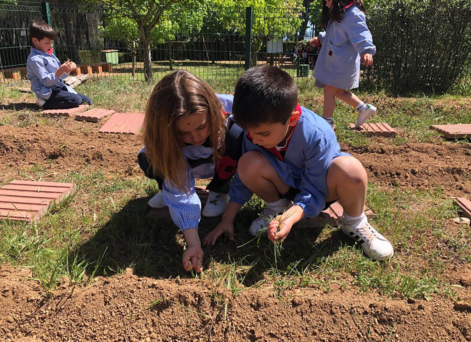 Natura, Parvulari Escola Montcau – La Mola Matadepera