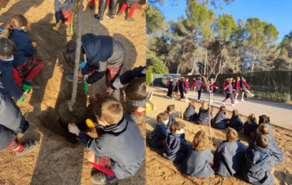 Festa arbre-Montcau La Mol